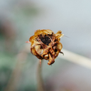 registrocotidiano avatar