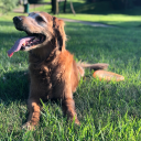 regretrightnow avatar