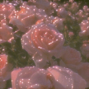 regulus-black-poems avatar