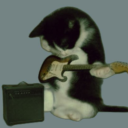 regulusblack-potter avatar