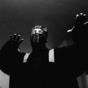 regulussxblack avatar