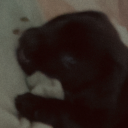 reguluswritesashedrowns avatar