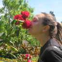 reichenbachwards avatar