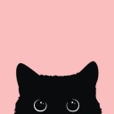 reidloversisforever avatar