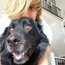 reignbeauxbaer avatar