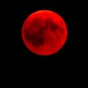 reilora-borealis avatar