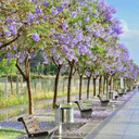 reinadebolsillo avatar