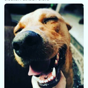 reinventandos-blog avatar