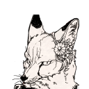 reizor avatar