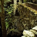 rejectedshelf avatar