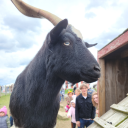 rejectsagainstus avatar