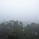 rekindledspirits avatar