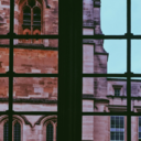 relate-and-survive avatar