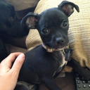 relativelygoodmood avatar