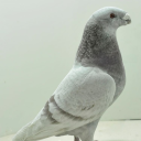 relax-and-read-on avatar