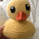 release-the-quackin avatar