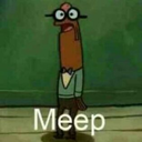 releasemyeffinflamingos avatar