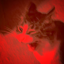 religiousbattlecats avatar