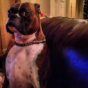 rellyrellsblog avatar