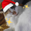 reluctantfir0 avatar