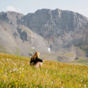 remaininsilence avatar