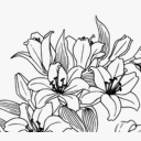 remarkablepasserbys avatar