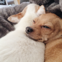 remedytowanderlust avatar