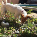 remembermerememberall avatar