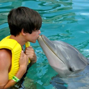 remembersummer09 avatar