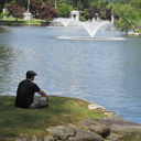 remi-the-strange avatar