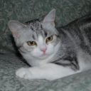 remorsefulheart avatar