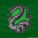 ren-the-slytherin avatar