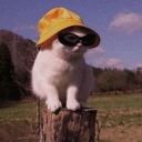 renaissanceousia avatar