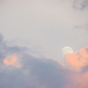 renaissancing avatar