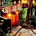 renalittleson avatar