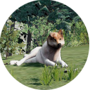 rendezvous-site avatar