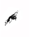 reneeparkhurstdiary avatar