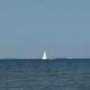 renegadeadams77 avatar