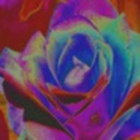 rennarenofao3 avatar