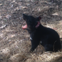 renshawtheengineer avatar