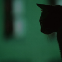 reoichi-blog-blog avatar