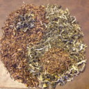 repetitive-motions avatar