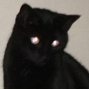 representative avatar