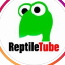 reptiletube avatar