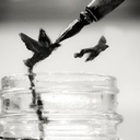 repurposedstars avatar