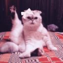 reputation131989 avatar