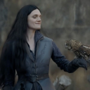 reputation513 avatar