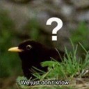 reputationjensen avatar