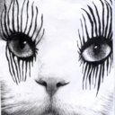 requiem-aesthetic-blog avatar