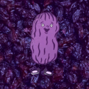 requiem-for-a-raisin avatar